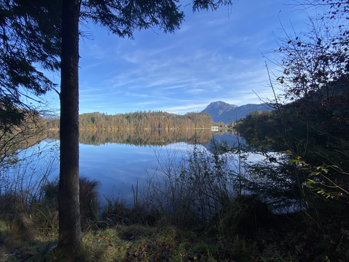Lakepanorama framed by trees nearby Kiefersfelden, famous for the rich fishing grounds.
